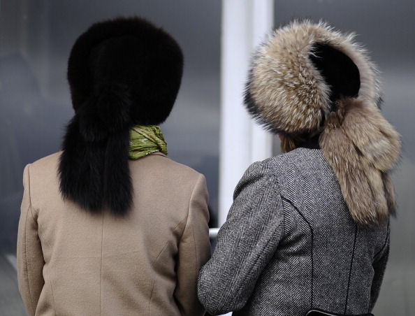 Cheltenham Festival - Champion Day