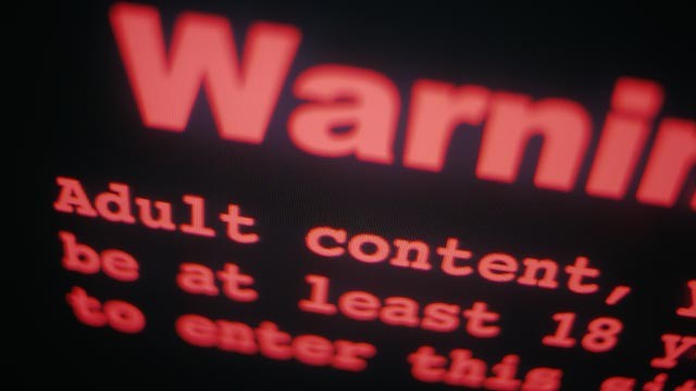 6f826_gty_computer_porn_mw_110707_wg