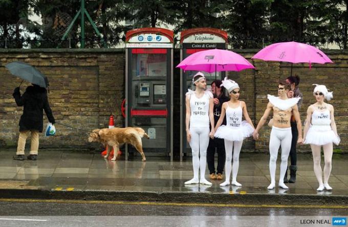 western indifference to anti gay legislation in russia